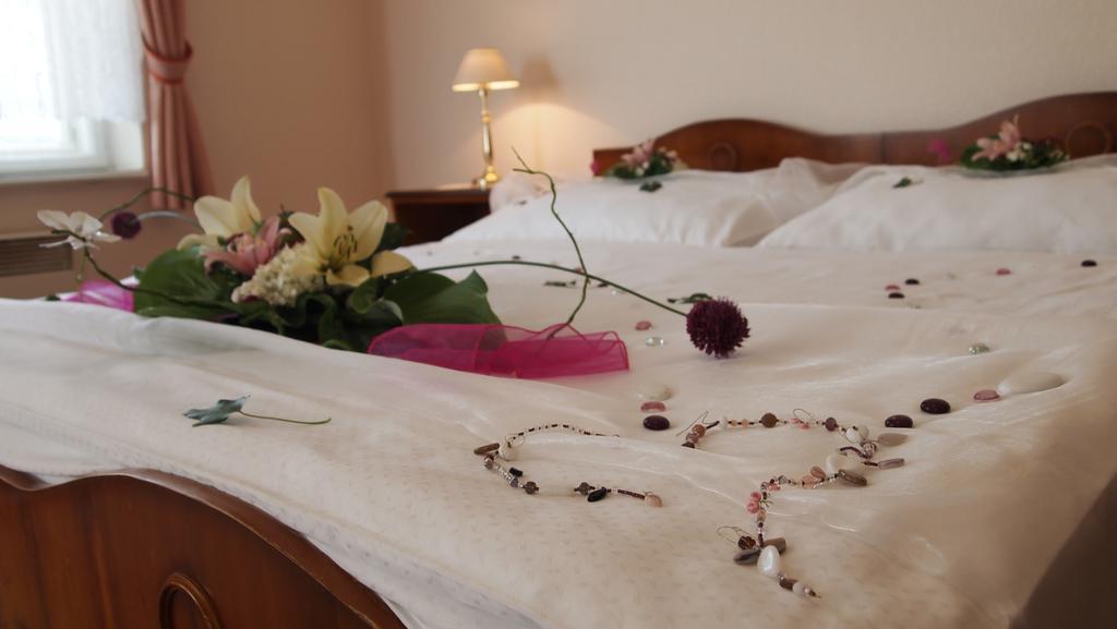 Pension Habermannova Vila Bludov  部屋 写真