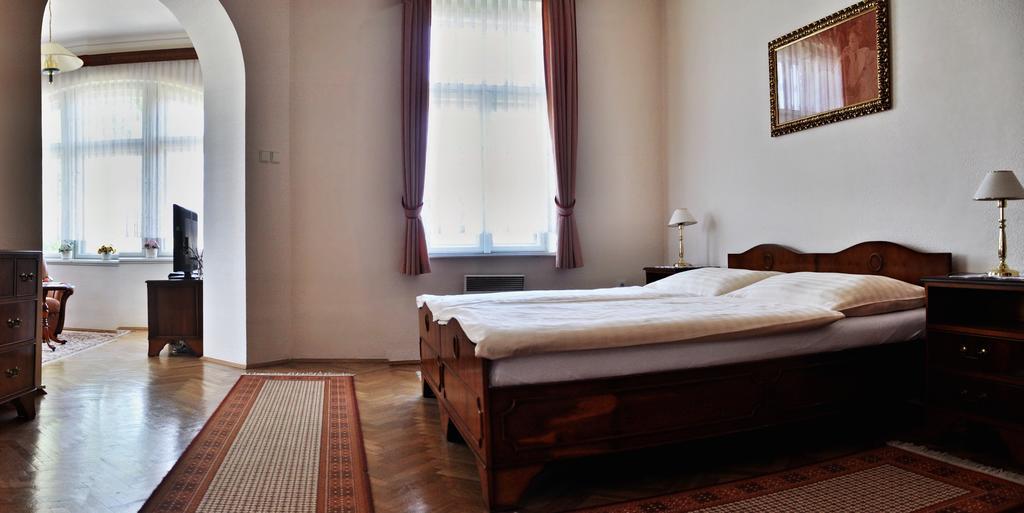 Pension Habermannova Vila Bludov  部屋 写真