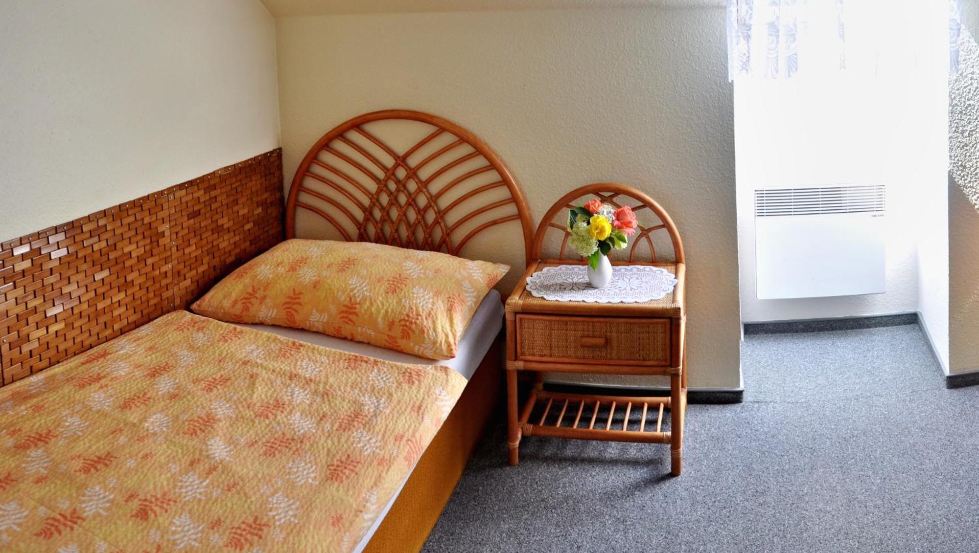 Pension Habermannova Vila Bludov  部屋 写真
