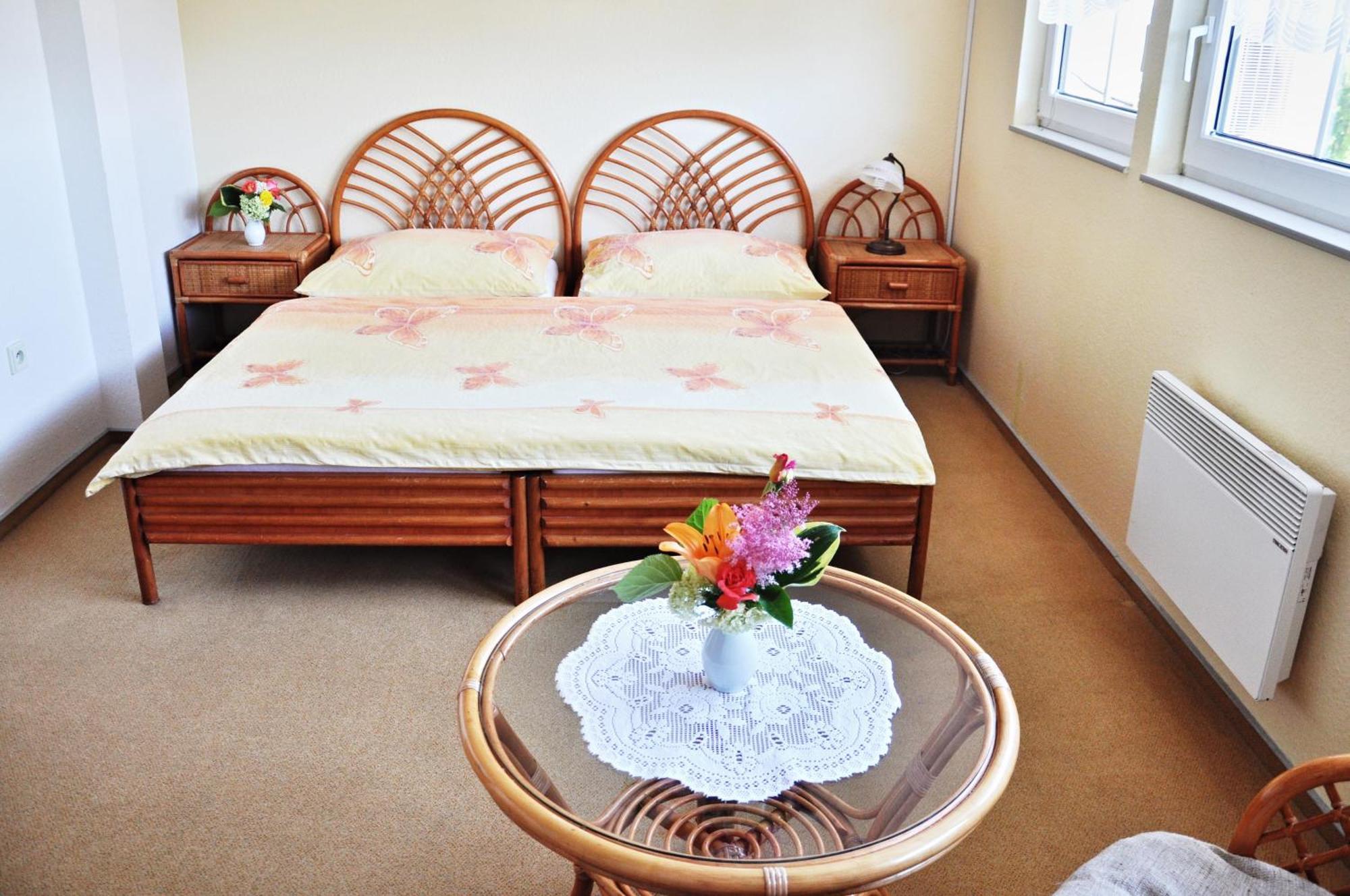 Pension Habermannova Vila Bludov  部屋 写真