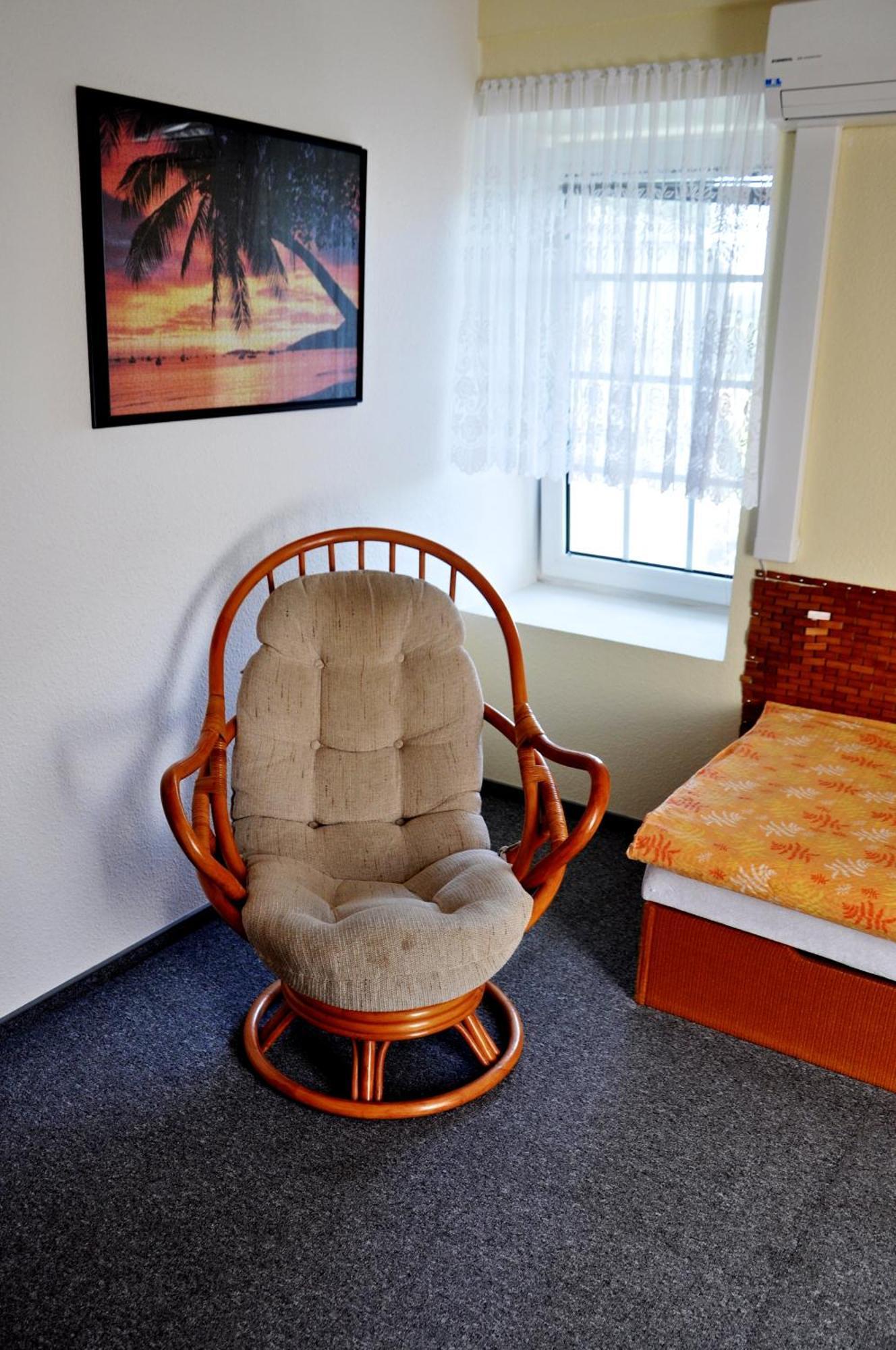 Pension Habermannova Vila Bludov  部屋 写真